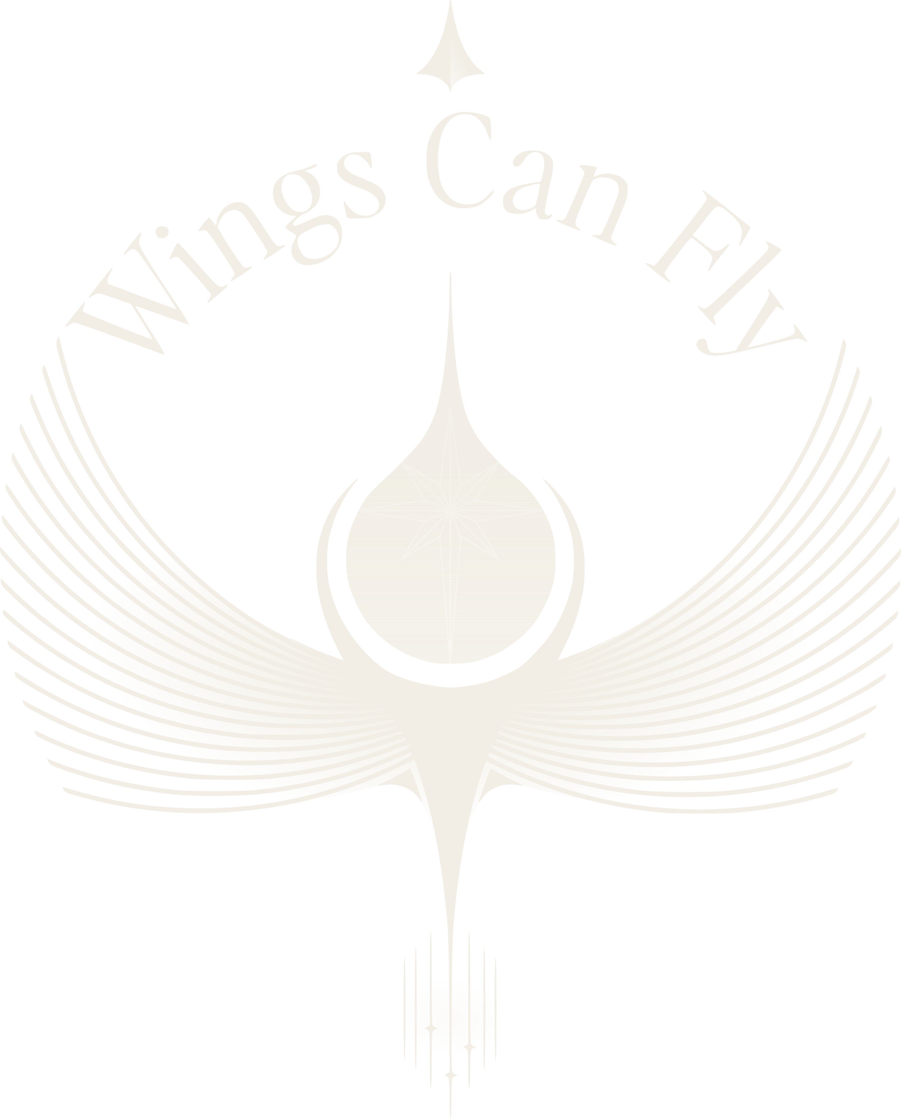 Wings can fly en lettres manuscrites noires sur fond blanc